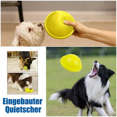 Haustier beißt Sound-Spielzeug