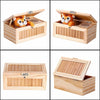 Lustiger Tiger in einer Box