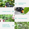 Gartenschere Veredelungsschere Set mit 2 Ersatzmesser