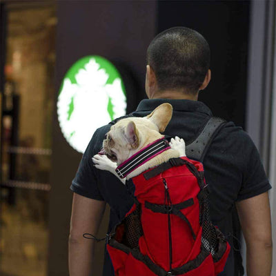 Rucksack für Haustiere Tragen
