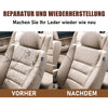 Advanced Lederreparaturgel
