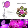 Zimmerpflanzen LED Pflanzenlampe mit Klammer