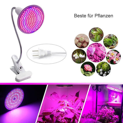 Zimmerpflanzen LED Pflanzenlampe mit Klammer