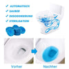 Automatisches Toilette Reinigungsstück, 6 PCS