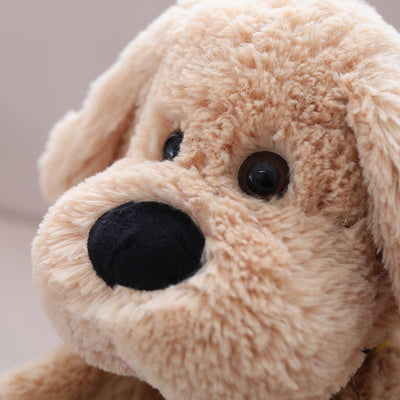 Der fröhliche klatschende Hund