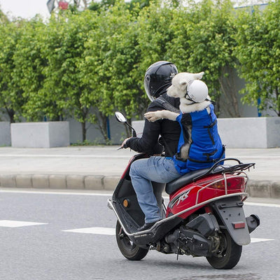 Rucksack für Haustiere Tragen