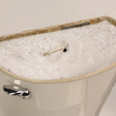 Bequee Wassertank Reiniger（3 Packungen）