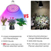 Zimmerpflanzen LED Pflanzenlampe mit Klammer